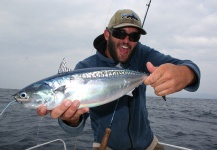 Irénée Sicard 's Fly-fishing Catch of a Bonito | Fly dreamers 