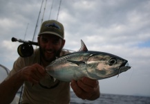 Irénée Sicard 's Fly-fishing Photo of a Bonito | Fly dreamers 