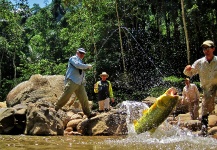  Situación de Pesca con Mosca de Dorado – Por EDUARDO ARISTEGUIETA en Fly dreamers