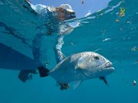 Foto de pesca con mosca