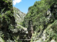 The narrow gorge