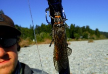 Luke Metherell 's Cool Fly-fishing Entomology Pic | Fly dreamers 