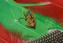 Sven Axelsson 's Fly-tying for Atlantic salmon - Image | Fly dreamers 