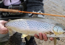 Kristinn Ingolfsson 's Fly-fishing Photo of a Brown trout | Fly dreamers 