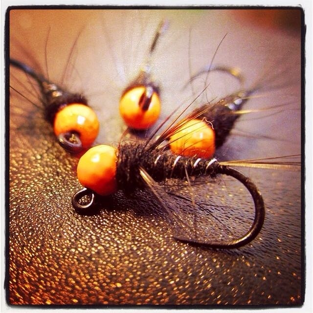 Orange fly