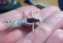  Mira esta fotografía de atado de moscas para Palometa de Francisco   Jorquera C. | Fly dreamers