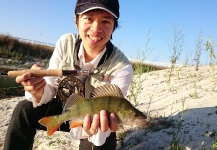 Sebastian Widjaja 's Fly-fishing Picture of a Perch | Fly dreamers 