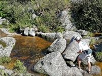 Fly fishing picture