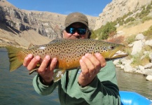Tim Smith 's Fly-fishing Image of a Brown trout | Fly dreamers 