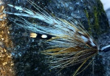 Fly for Steelhead - Picture by Jason Taylor | Fly dreamers 