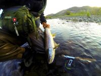 Fly fishing picture