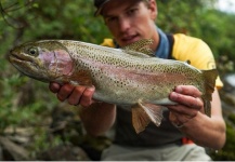 Fly-fishing Picture of Rainbow trout shared by Jason Wittwer | Fly dreamers