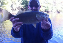 Fly-fishing Pic of Smallmouth Bass shared by Toby Barnes | Fly dreamers 