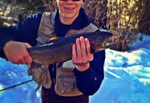 Fly-fishing Picture of Rainbow trout shared by Max Sisson | Fly dreamers
