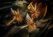 Sweet Fly-fishing Art Image shared by George Secareanu | Fly dreamers