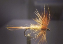 Fly-tying for Brown trout - Picture shared by Fabio Gasperoni | Fly dreamers