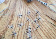  Mira esta imagen de atado de moscas para Trucha de arroyo o fontinalis de Terry Landry | Fly dreamers