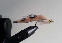Fly-tying for Spotted Seatrout - Picture by Troels KB 