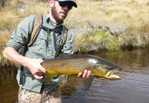 Fly-fishing Photo of Brown trout shared by Jeremy Treweek | Fly dreamers 