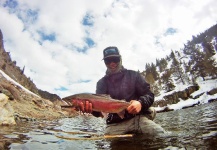 Fly-fishing Picture of Rainbow trout shared by Jared Martin | Fly dreamers