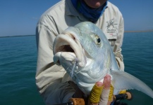 Richard Carter 's Fly-fishing Photo of a Golden Trevally | Fly dreamers 