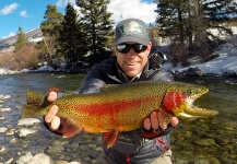Fly-fishing Pic of Rainbow trout shared by Eric Stollar | Fly dreamers 