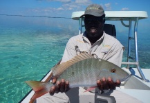  Imagen de Pesca con Mosca de Mangrove Jack - Red Snapper compartida por Carlos Cortez | Fly dreamers