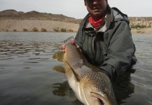 Fly-fishing Picture of Brown trout shared by Miguel Angel Marino | Fly dreamers