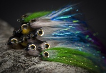 Paul Fiedorczuk 's Fly for Pike - Image | Fly dreamers 