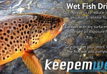 Fishbite Media 's Fly-fishing Pic of a Brown trout | Fly dreamers 