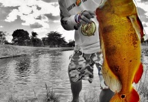 Hai Truong 's Fly-fishing Pic of a Peacock Bass | Fly dreamers 
