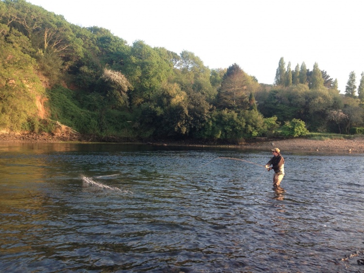 DH fly fishing for sea bass