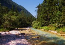 Nature in Slovenia