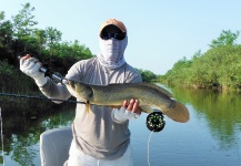 Semper Fly 's Fly-fishing Image of a Texas Cichlid - Rio Grande Cichlid | Fly dreamers 