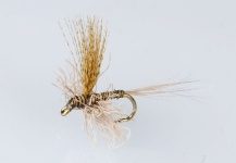 Fly-tying for Brown trout - Photo shared by Colin Pittendrigh | Fly dreamers 