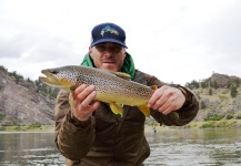 Fly-fishing Pic of Brown trout shared by Greg Rieben | Fly dreamers 