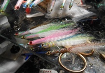 David Bullard 's Fly-tying for False Albacore - Little Tunny - Pic | Fly dreamers 
