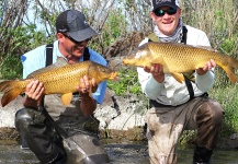 Dan Frasier 's Fly-fishing Picture of a Carp | Fly dreamers 