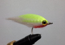 Good Fly-tying Pic shared by Simon Dominguez 