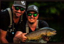 Fly-fishing Image of Brown trout shared by Alexander Lexén | Fly dreamers