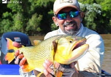 Fly-fishing Pic of Golden Dorado shared by Kid Ocelos | Fly dreamers 