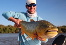 Fly-fishing Photo of Golden Dorado shared by Victor Srougi | Fly dreamers 