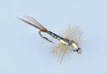  Fotografía de atado de moscas para Trucha arcoiris por Colin Pittendrigh | Fly dreamers