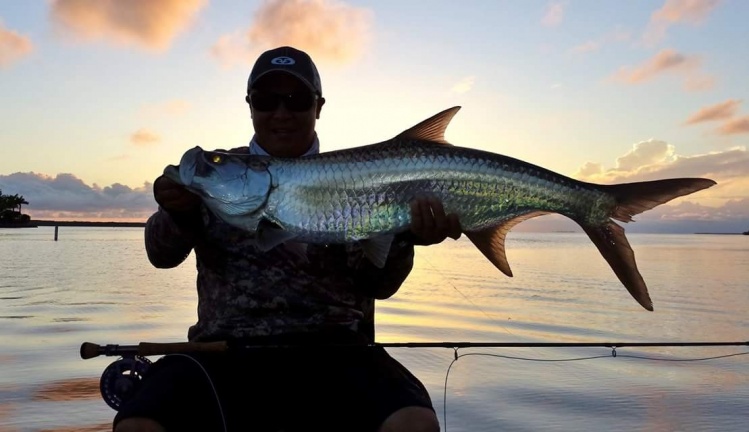 Got this little 'poon just at "magic hour" in the Florida Keys with my good friend Bobby Vaughn. Got two huge jumps next to my boat &amp; 3 hard runs,  the drag was so smooth but very impressive for a lil guy. The scales were amazing. We revived it &amp; left him
