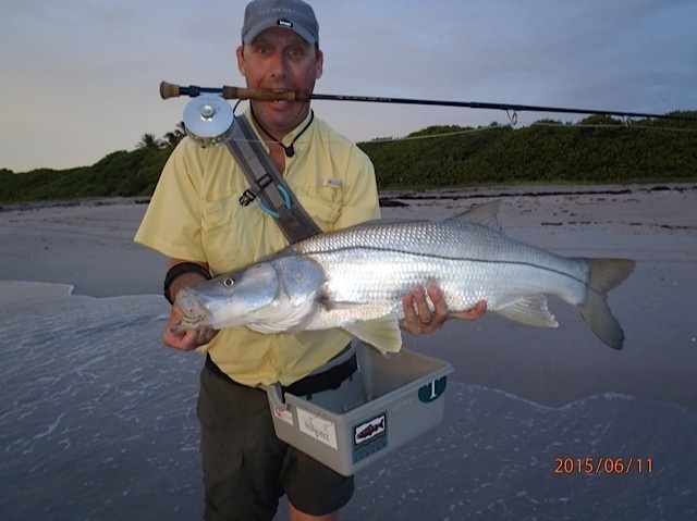Finally!...been in slump on better sized snook...ended in great take in the wash this morn!