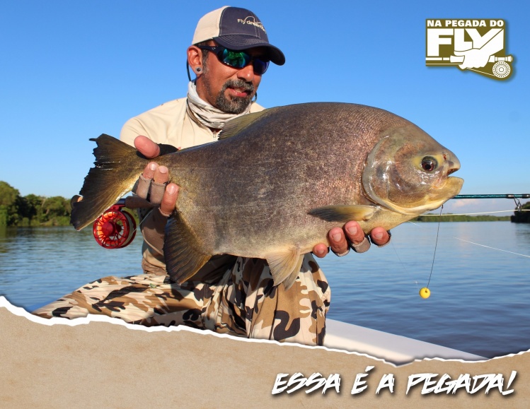 ESSA É A PEGADA
Em viagem à Argentina pescando os poderosos pacus do rio Parana, fiz esta foto especial para os amigos do FlyDreamers.
#fishtv
#napegadadofly
#flyshopbrasil
#tfoflyrods
#flydreamers
#pacu