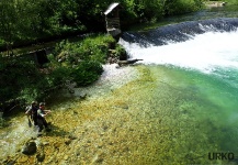 Fly-fishing Situation of Brown trout - Photo shared by Uros Kristan | Fly dreamers 