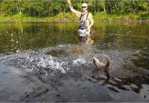 Grayling Fly-fishing Situation – Kuba Hübner shared this Image in Fly dreamers 