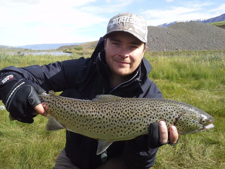 Sea trout from Eyjafjarðará
