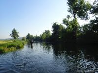 Unica River - dry fly only sector